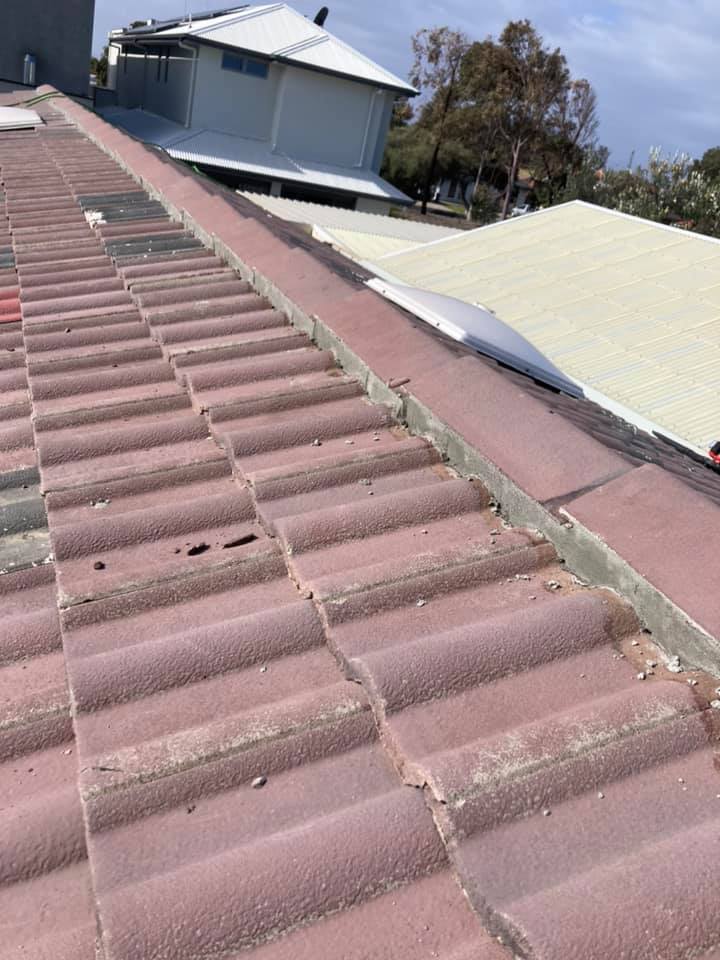 damaged roof paint