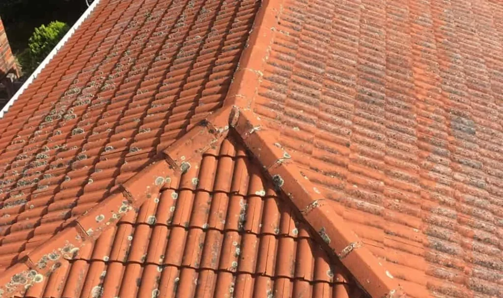 BEFORE: Damaged Roof and Discoloured Tiles