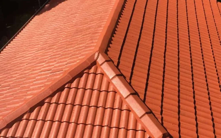 AFTER: Damaged Roof and Discoloured Tiles